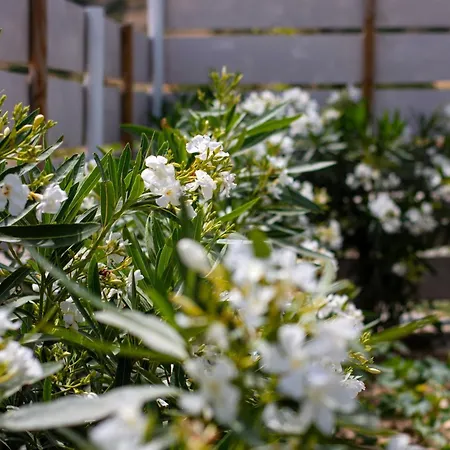 Appartement Livadi Adamantas (Milos)