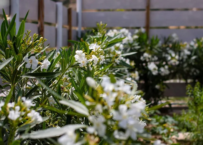 Апартаменты Livadi Адамас